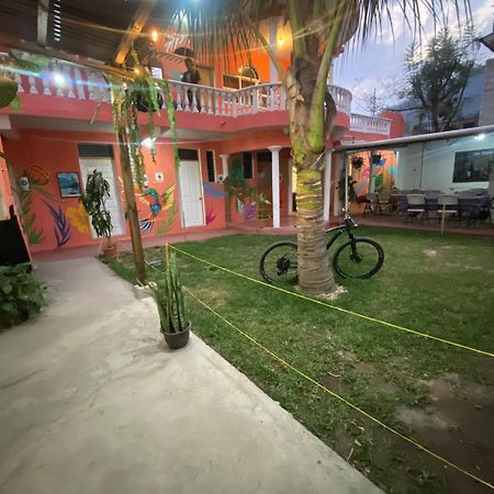 Hotel Posada Gutierrez Панахачел Екстериор снимка
